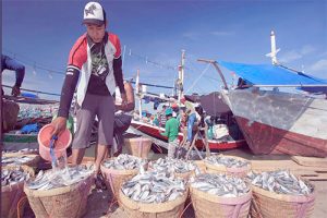 Pengusaha Ngarep Regulasi Perikanan Lebih Bersahabat