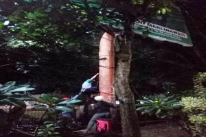 33 Billboard Bersamasalah Ditandai Stiker
