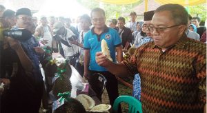 VIDEO: Meriahnya Festival Durian Cikakak