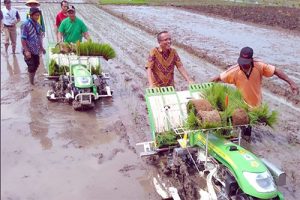 Balittri Bisa Jadi Mercusuar Bagi Kementan