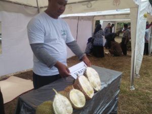 Durian: di Indonesia Primadona, di Swedia Menjijikan
