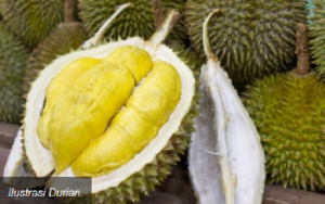 Petani Durian di Mande Mengalami Kerugian