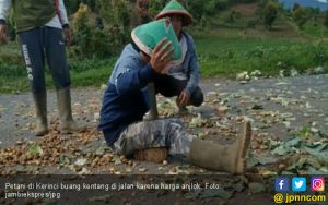 Heboh, Petani di Kerinci Buang Sayur-sayuran ke Jalan