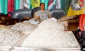 Ikan Asin Makin Mahal