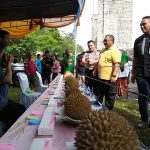 festival uren Cikakak II