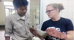 PMI Selamatkan Seekor Kukang Jawa