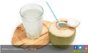 Rutin Minum Air Kelapa Bisa Menghambat Difteri