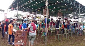 Peserta Kontes Burung Dibanjiri Peserta Luar Jawa