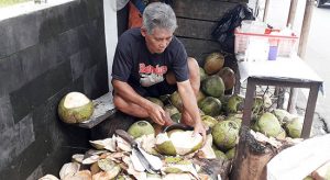 Penjual Kelapa Naik Omzet