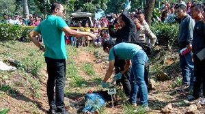 Seorang Pria di Temukan Tewas Mengenaskan di Perkebunan Teh Desa Mekarwangi