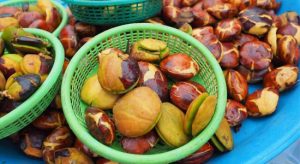 Manfaat Jengkol Untuk Tubuh Kita
