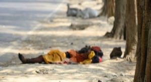 Panas di India Capai 50 derajat Celsius