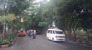 DLH Klaim Pohon di Kota Sukabumi Aman