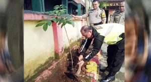 Polsek Cibadak Ikutan Tanam Pohon
