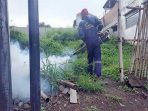 Permintaan  Fogging Meningkat