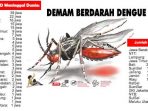 Indonesia Diguncang Corona, DBD Tewaskan 170 Jiwa
