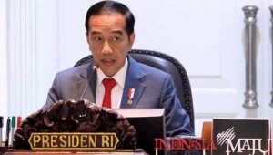 Jokowi Setuju Kepala Daerah  Lakukan Mini Lockdown