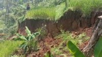 Pergerakan Tanah Nyalindung Meluas, Hektaran Sawah Amblas