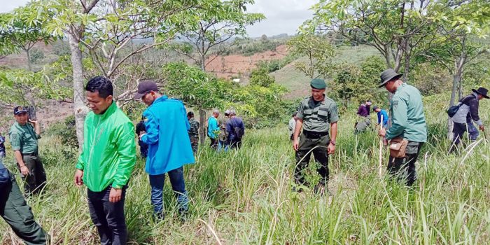 KPH: Pembalakan Liar Tahun Ini Nihil