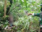 Ibu Kawin Lagi, Ayah Kembali ke Sukabumi, Sang Anak Nekat Gantungdiri