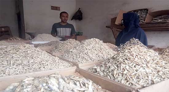 Penjualan Ikan Asin di Sukabumi Menurun - kota sukabumi