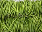 Baby Buncis Tembus Pasar Singapura, Dikembangkan Petani Milenial Asal Cibodas