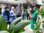 Pemilik Homestay Ciletuh Digembleng Budidaya Hortikultura