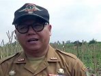 DKP3 Kota Sukabumi Sebut Harga Pakan Tinggi, Penyebab Harga Telur Ayam Melonjak