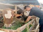 H-7 Idul Adha, Peminat Hewan Kurban Minim