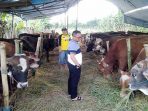 Beli Hewan Qurban Yang Memiliki Sertifikasi