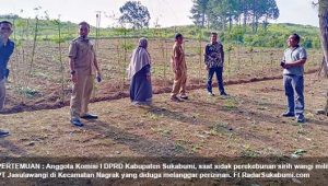 DPRD : 22 Perusaan Perkebunan di Kabupaten Sukabumi Langgar Aturan
