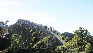 Pendakian Gunung Gede Pangrango Ditutup