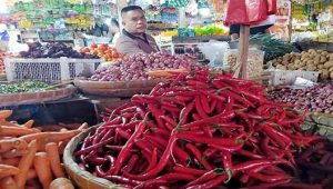 Harga Cabai Merah Anjlok