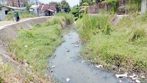 Sungai Cipalabuan Sukabumi Kotor