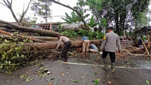 Jalan Cikidang Sempat Lumpuh