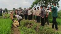 Kementan Siapkan Tiga Skema Revitalisasi Sawah Terdampak Banjir