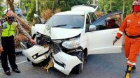 Ngantuk, Avanza Warga Depok ‘Cium’ Pohon Mahoni di Palabuhanratu