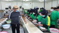 Pecel Impor