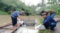 Anggota DPRD Jabar Sopyan, Tebarkan Benih Ikan, Jaga Ekosistem Sungai