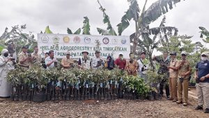 PKSM Kembali Gencarkan GTPP di Waluran