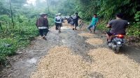 Warga Panyindangan Gotong Royong Urug Jalan Rusak