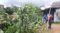 Belasan Rumah Warga Ciheulangtonggoh Terancam Longsor, Kodisinya Bikin Was-was