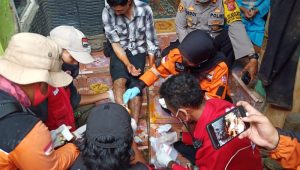 Hilang 3 Hari, Pemburu Babi Ditemukan di Wilayah Hutan Bogor, Kondisinya Bikin Sedih