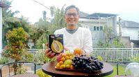 Fresh Fruits Import, Bisa Pesan via Online