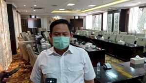Ini Alasan Jawa Barat Idealnya Miliki 40 Kabupaten/Kota
