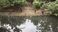 Ikan di Muara Citepus Palabuhanratu Meninggal Tiba-tiba, ini Penyebabnya