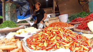 Harga Cabe Domba Bersaing dengan Daging Sapi, Cek Faktanya