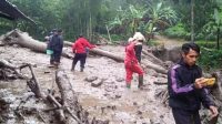 Banjir Bandang Gunung Mas: Dua Orang Terluka, 900 Warga Mengungsi