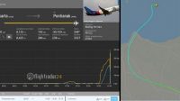 Ketua DPP Partai Hanura Masuk Manifest Sriwijaya Air, Ini Sekjen Hanura