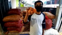 Kunyit Melejit di Masa Covid, Dipercaya Berkhasiat untuk ini